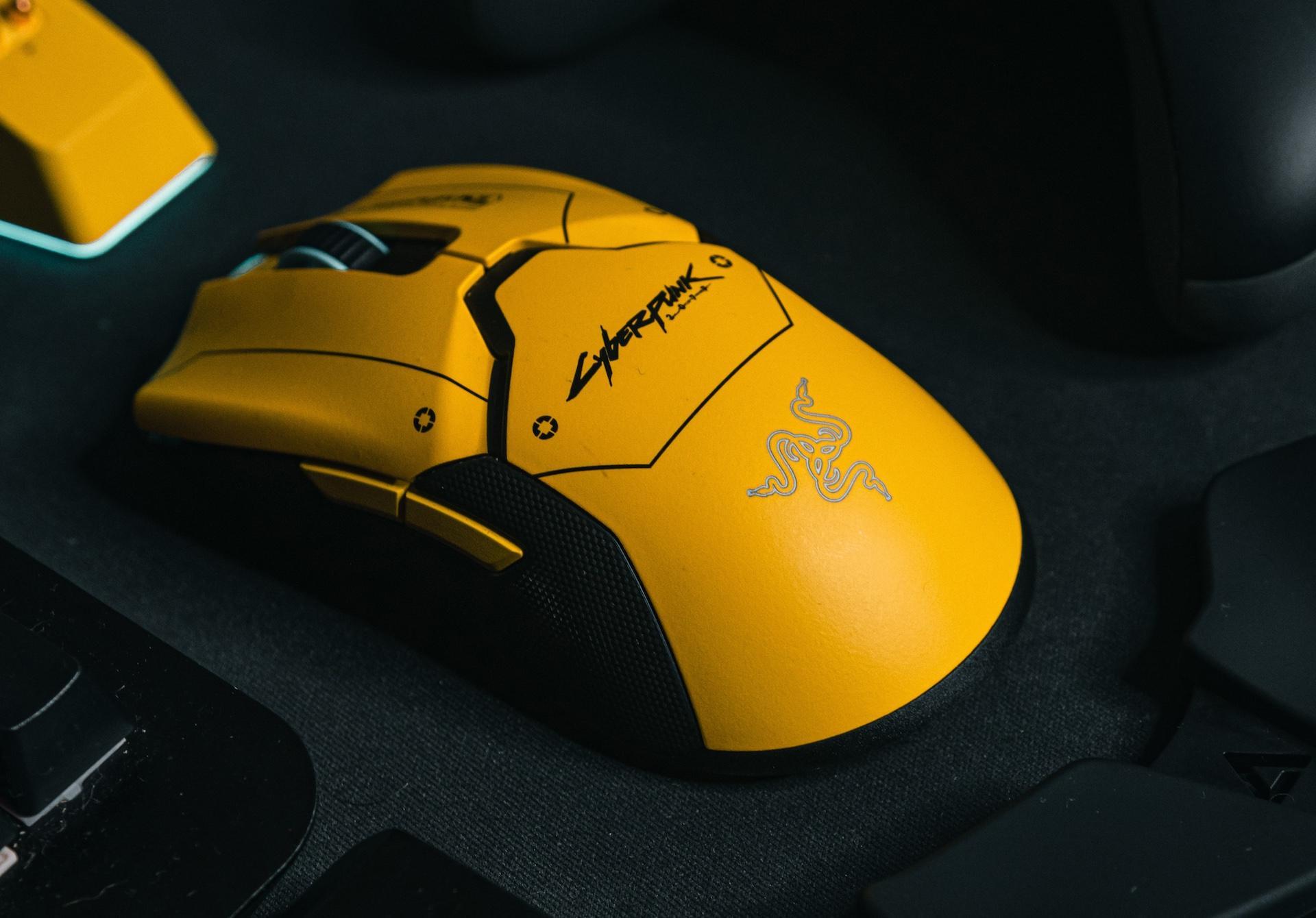 Foto: Robert Torres auf Unsplash (Foto: taucha-kompakt.de)