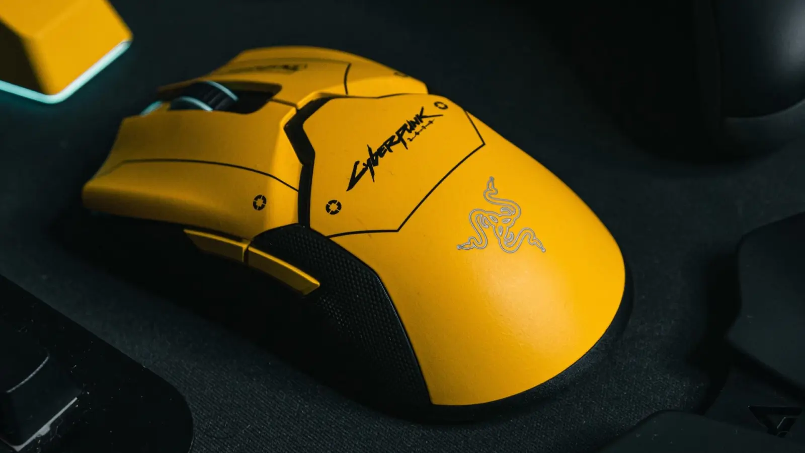 Foto: Robert Torres auf Unsplash (Foto: taucha-kompakt.de)