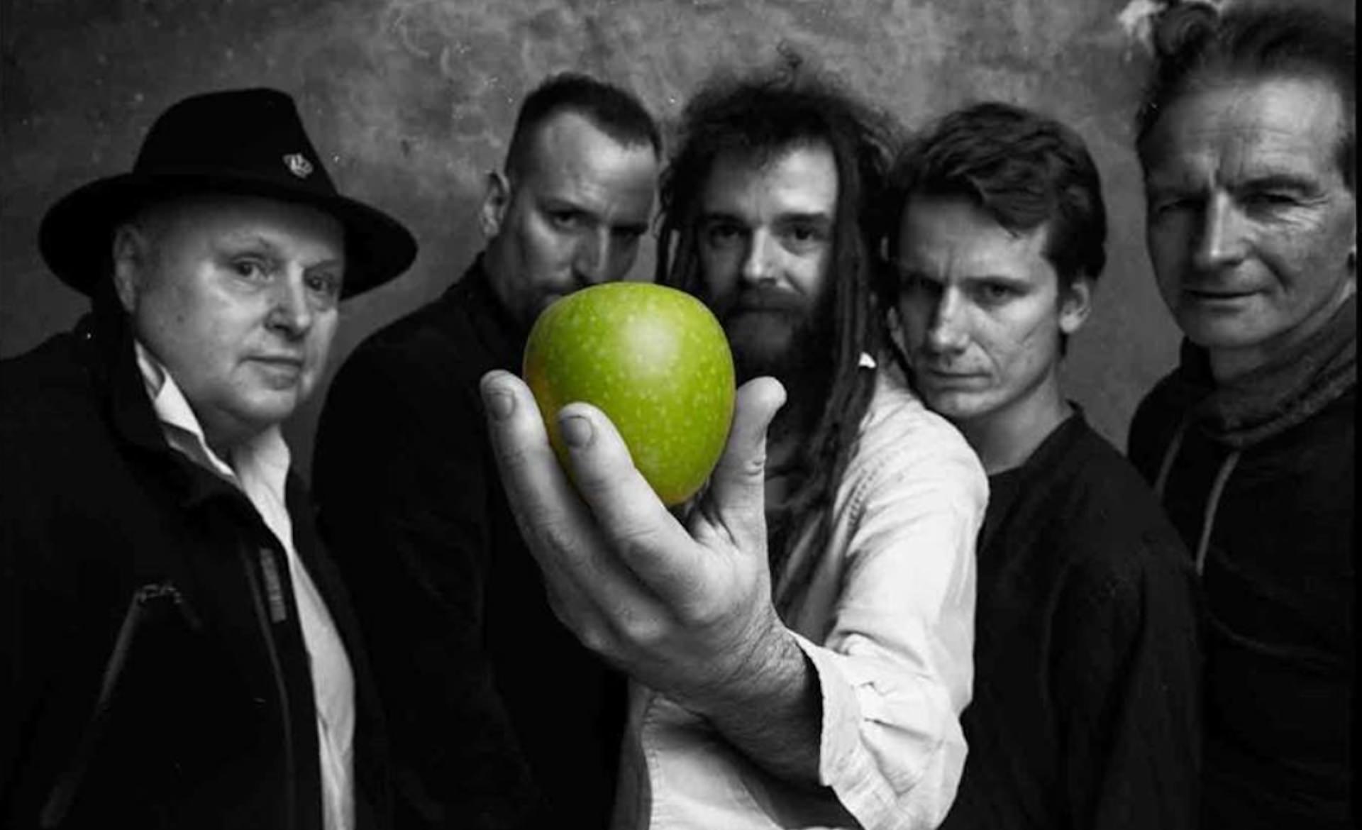 Von Depeche Mode bis Apfeltraum: Rocknacht mal zwei im Jubiläumsjahr (Foto: taucha-kompakt.de)