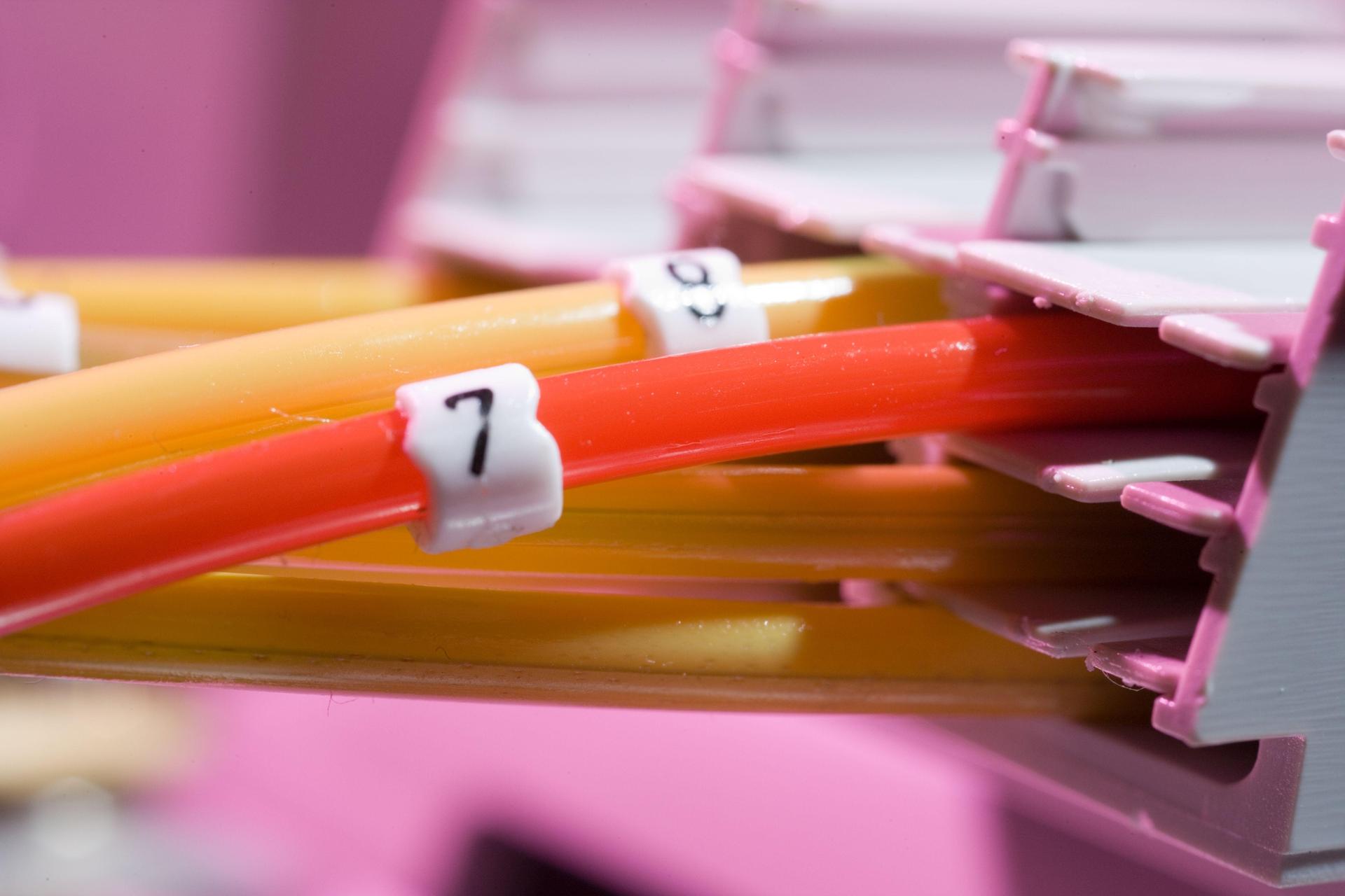 Illustrationsphoto <br><br><br>VEROEFFENTLICHUNG EINGESCHRAENKT: KEINE WERBUNG (Foto: Telekom)