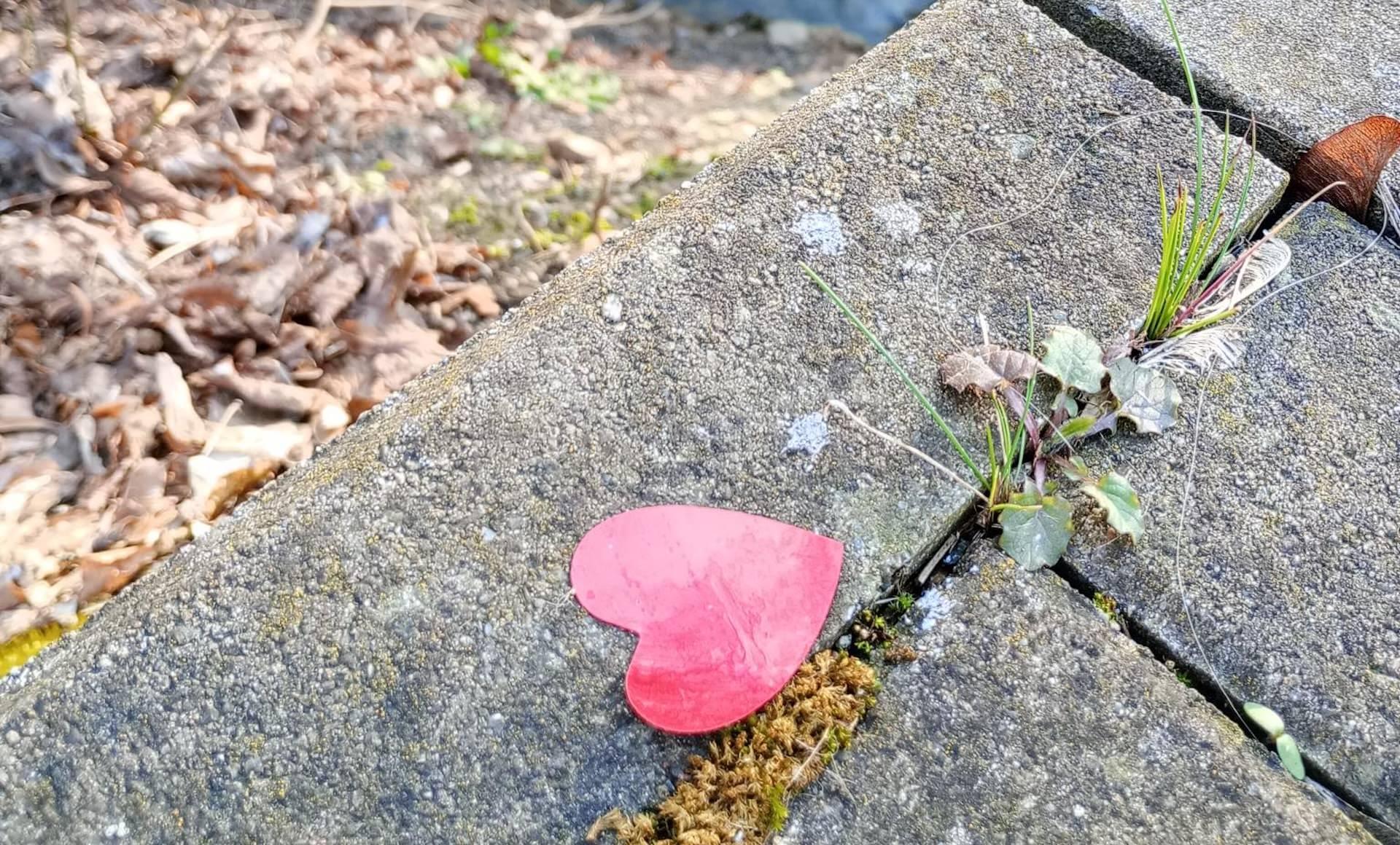 Ein Herz für die Umwelt (Foto: Zweckverband Parthenaue)