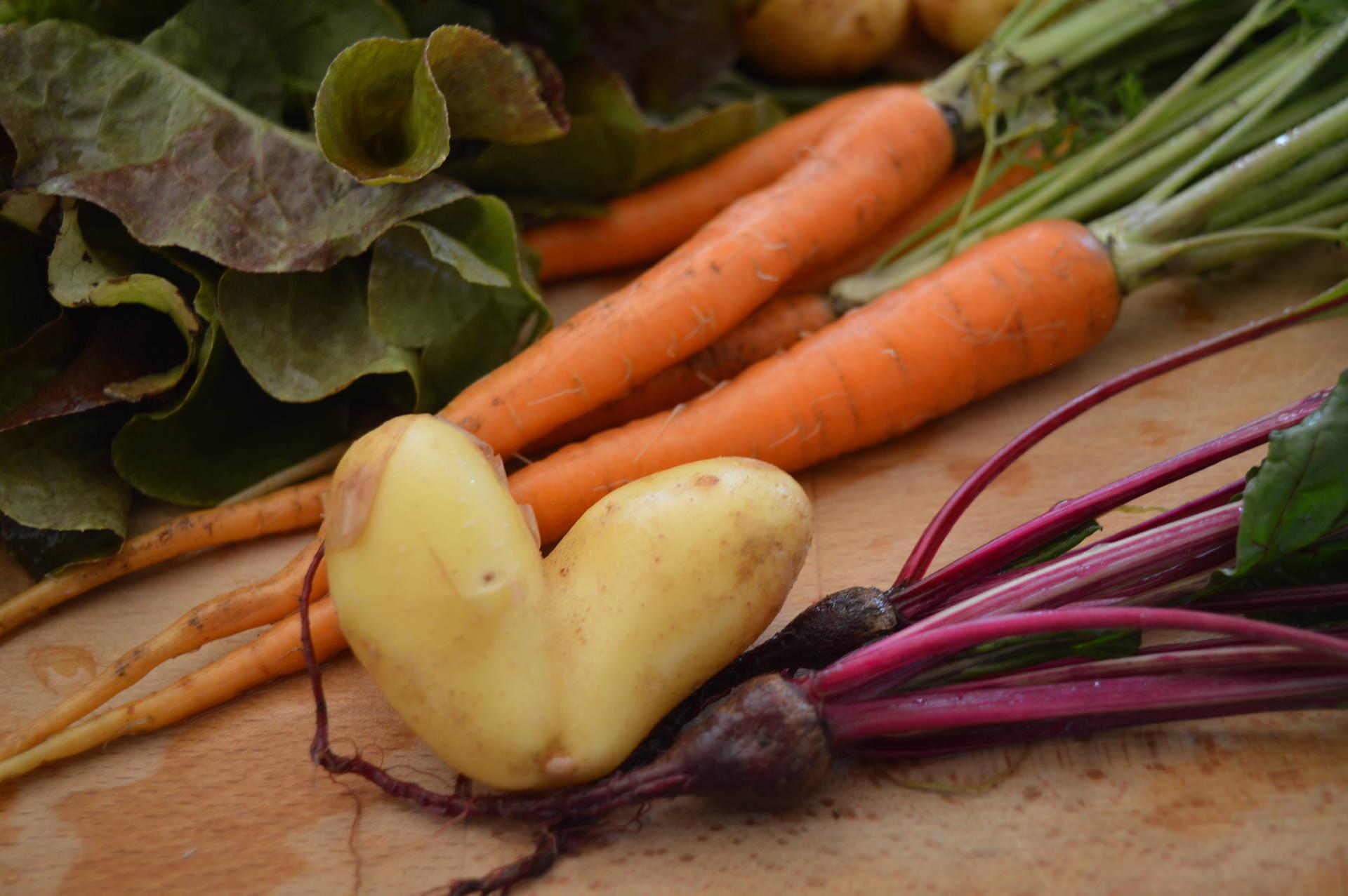 Leckere Kartoffeln genießen: Marias Gemüsetipp im September (Foto: taucha-kompakt.de)