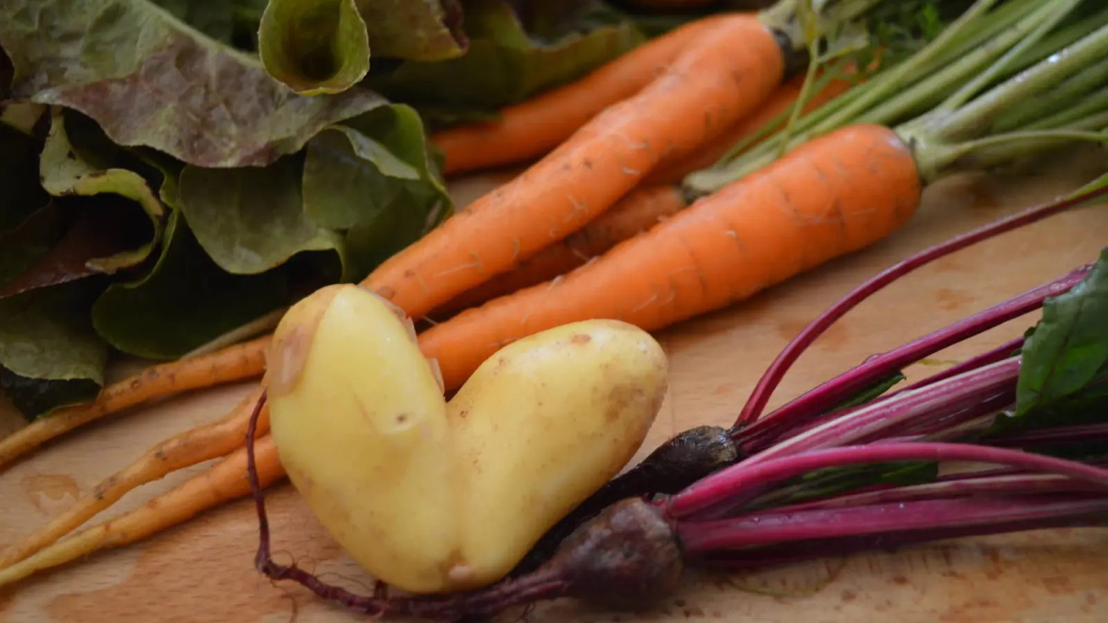 Leckere Kartoffeln genießen: Marias Gemüsetipp im September (Foto: taucha-kompakt.de)