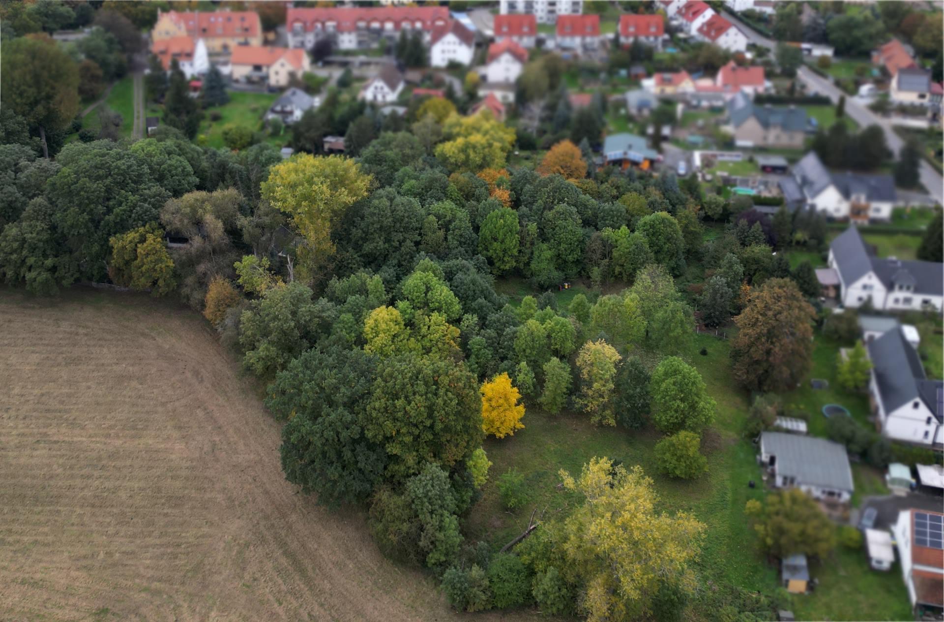 Auf dieser Fläche hinter der bestehenden Wohnbebauung entlang der Seegeritzer Straße am Ortseingang Merkwitz soll das neue, kleine Wohngebiet entstehen. (Foto: taucha-kompakt.de)