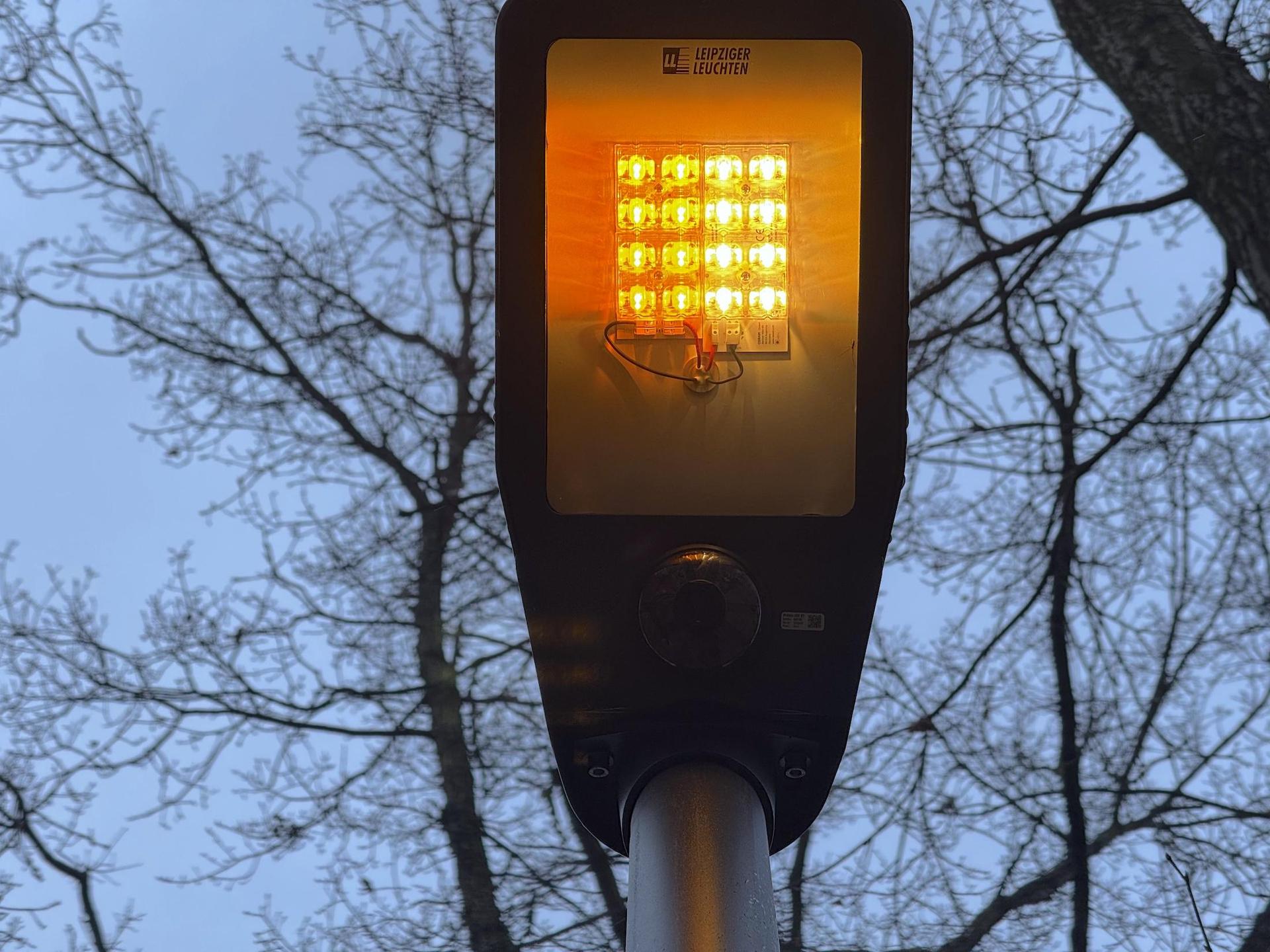 Am Seegeritzer Weg weisen nun LED-Leuchten mit Bewegungsmeldern den Weg. (Foto: Daniel Große)
