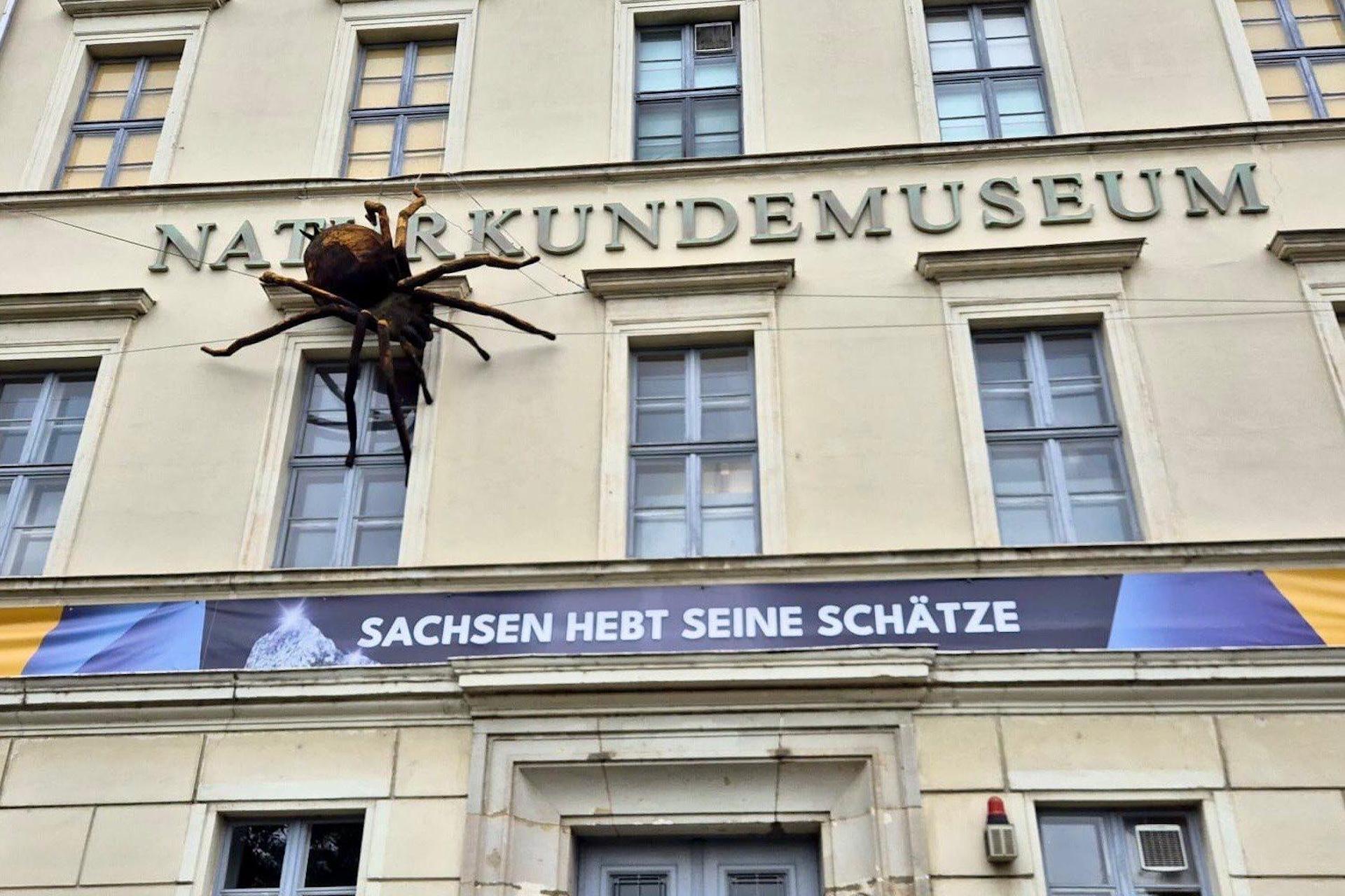 Die Schulfahrt führte die Schüler auch ins Naturkundemuseum (Foto: Grundschule Am Park)