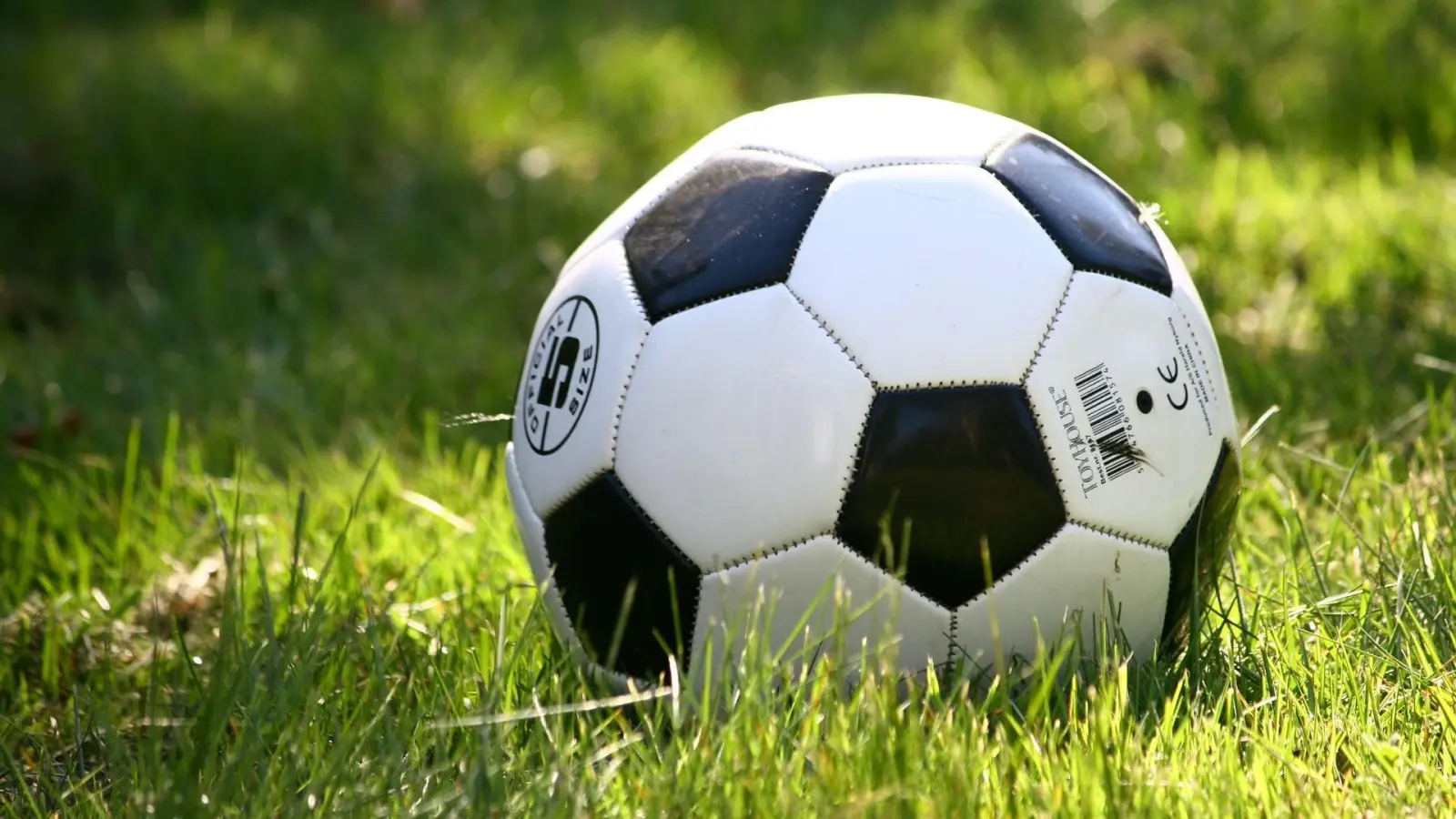 Acht Mannschaften aus Nordsachsen treten zum interkulturellen Fußballturnier an (Foto: taucha-kompakt.de)