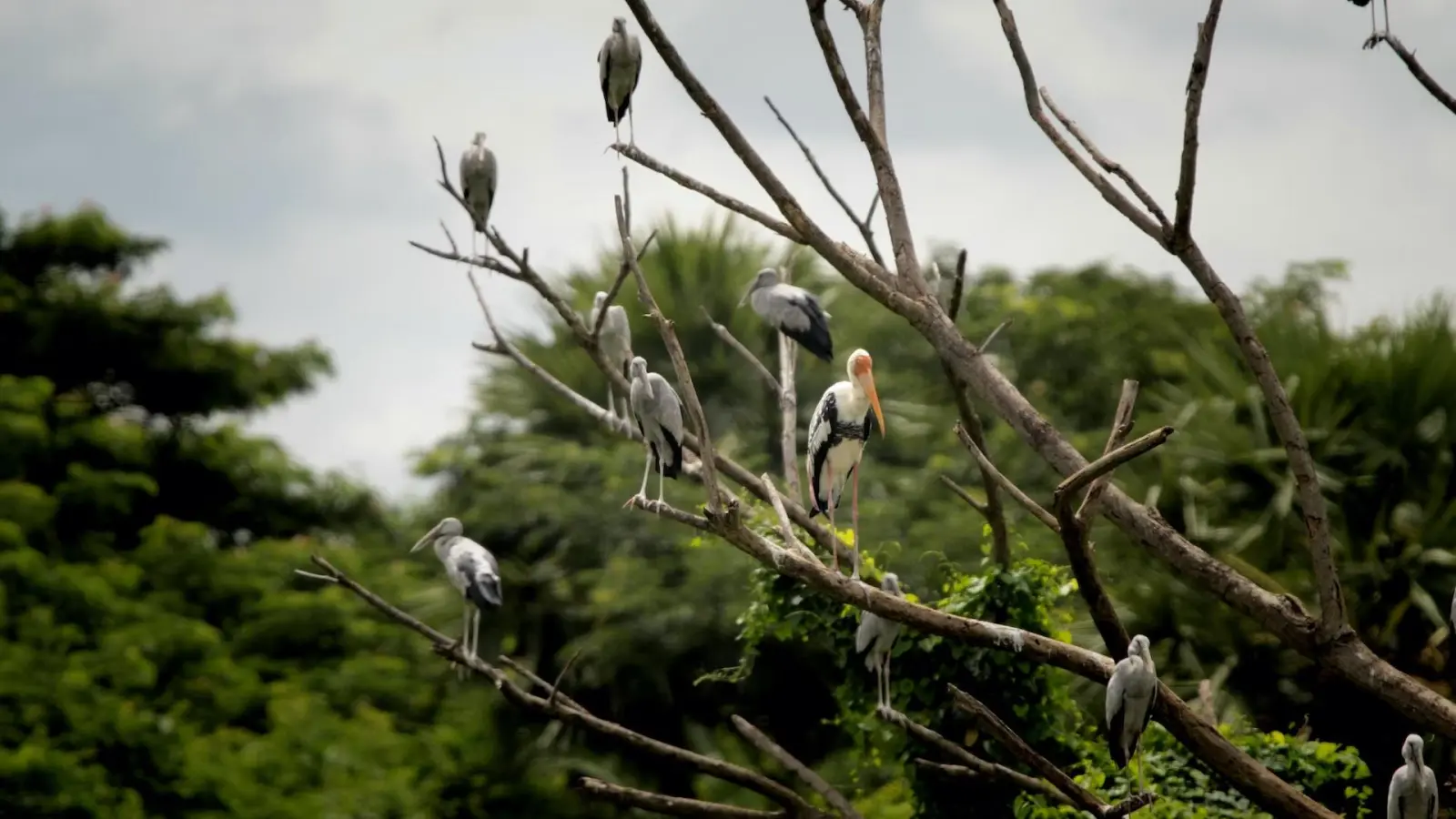 Symbolfoto: Unsplash (Foto: taucha-kompakt.de)