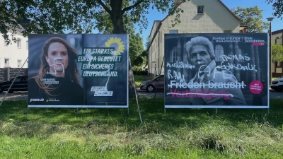 Diese Wahlplakate wurden beschmiert, unter anderem mit einem Hakenkreuz. (Foto: privat)