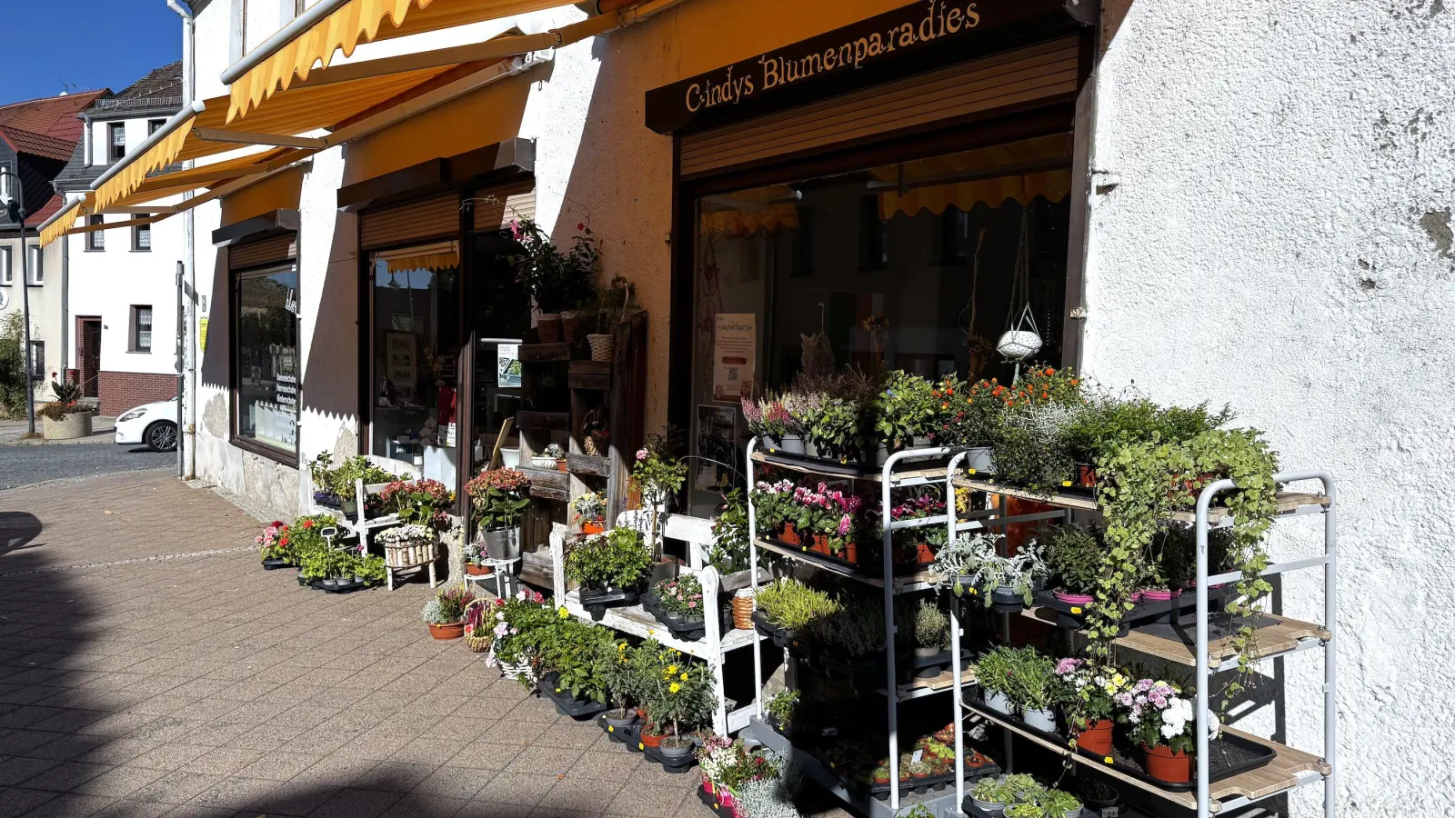 Cindys Blumenparadies bleibt Taucha erhalten. (Foto: Daniel Große)