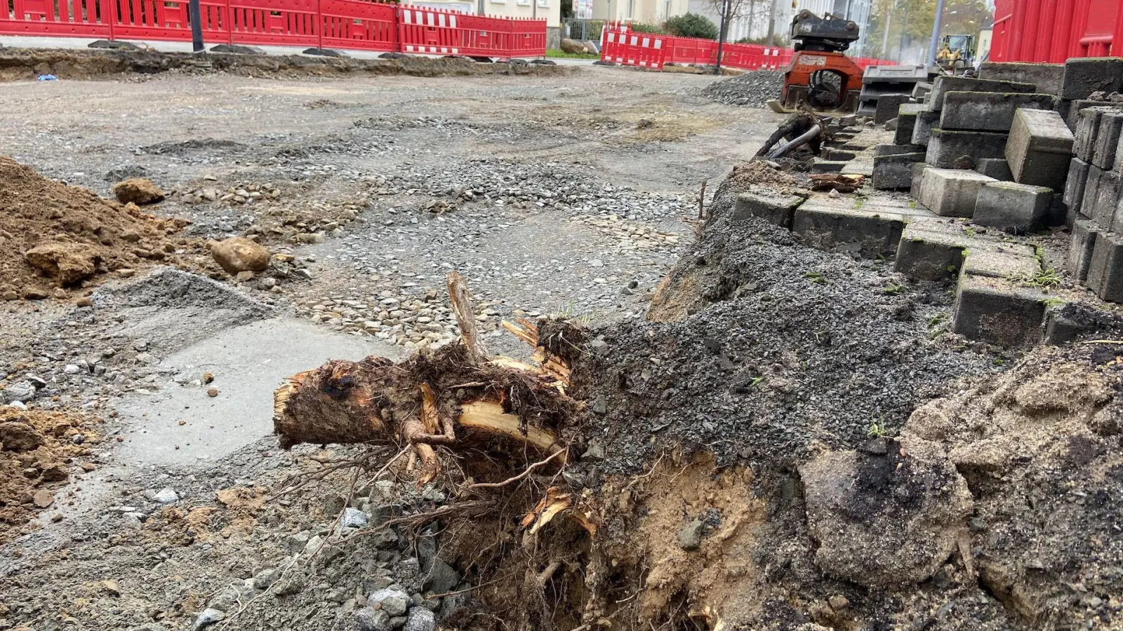 Ärger um Baumfällung in der Portitzer Straße - Stadtverwaltung klärt auf (Foto: taucha-kompakt.de)