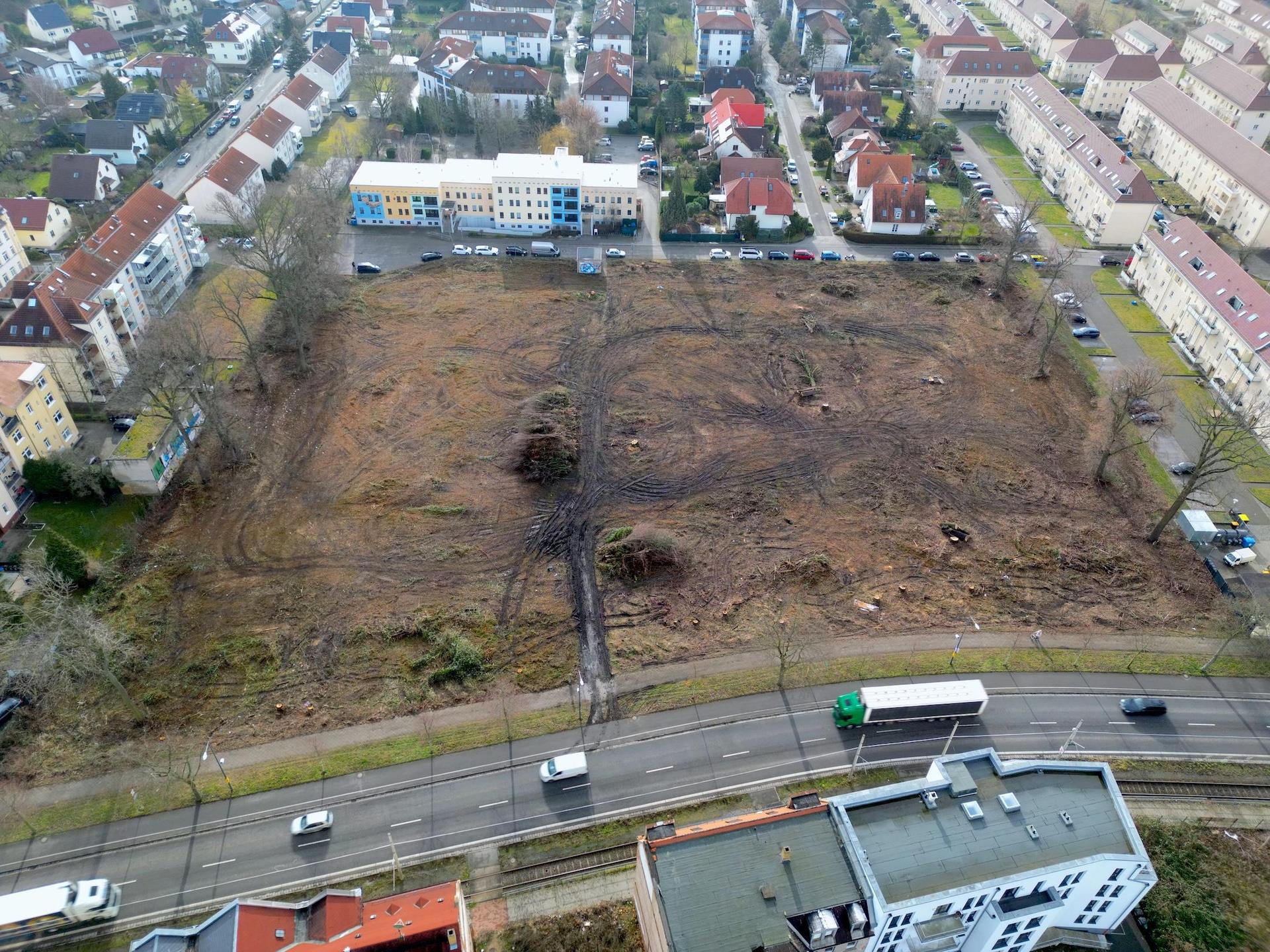 Für das künftige Wohngebiet Bogumilspark wurden nun Rodungen vorgenommen. (Foto: Daniel Große)