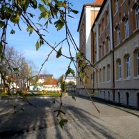 Gestört aber GeiL kommen ans Gymnasium Taucha (Foto: taucha-kompakt.de)
