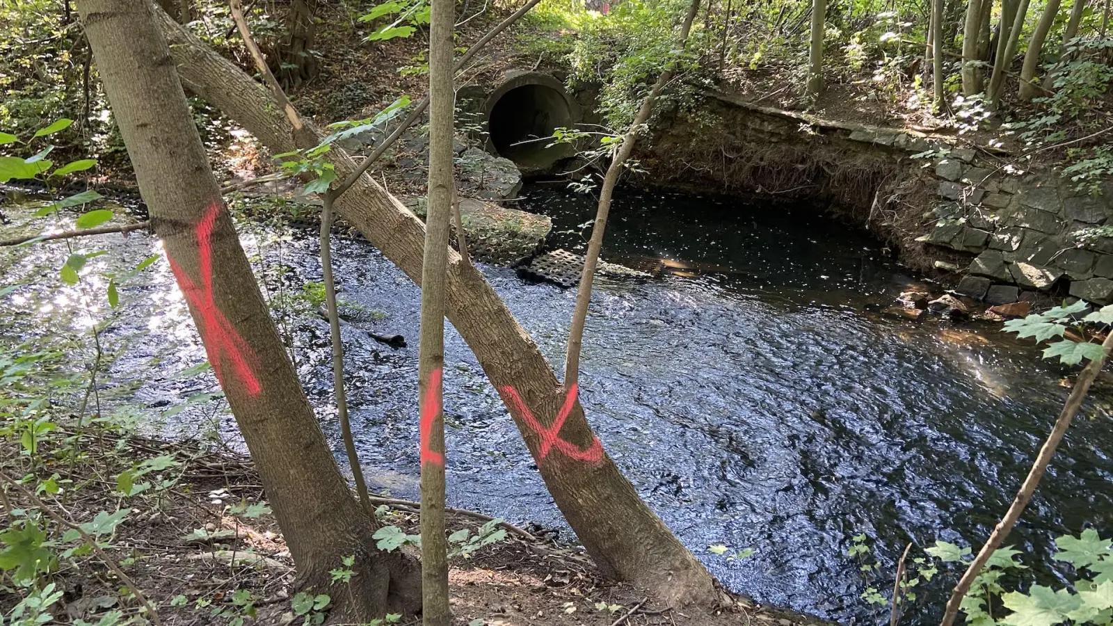 Wasserwerke bauen in der Glockentiefe - kleinere Fällungen nötig (Foto: taucha-kompakt.de)