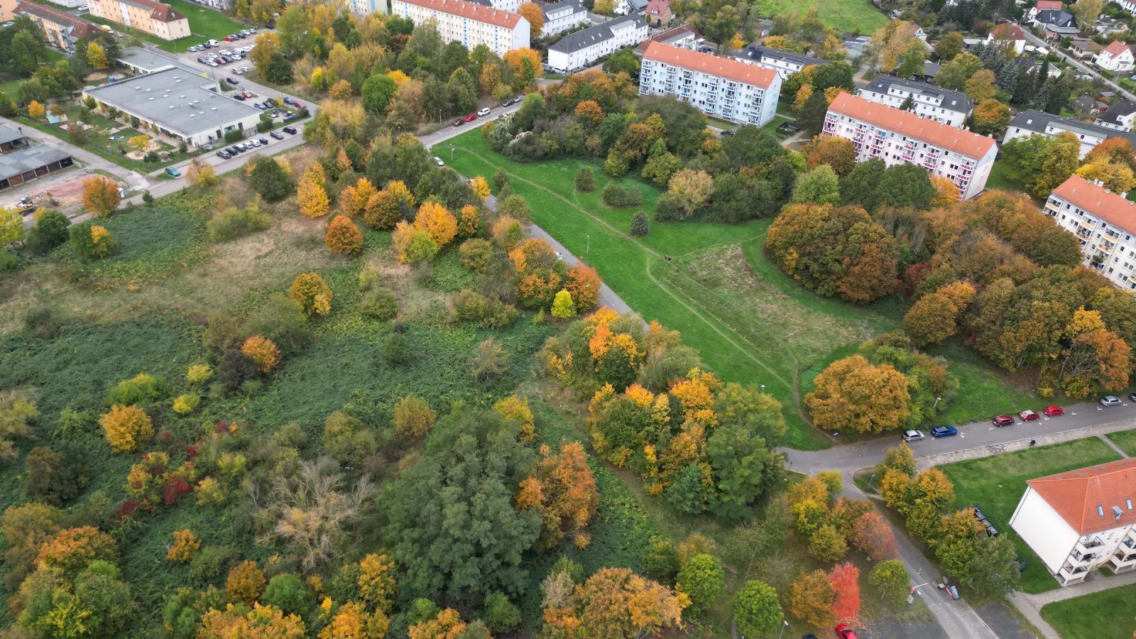 Die neue Judohalle und das SportEUm sollen auf den Ebert-Wiesen gebaut werden. Hier ein Foto aus dem Oktober 2024. (Archivbild: Daniel Große)