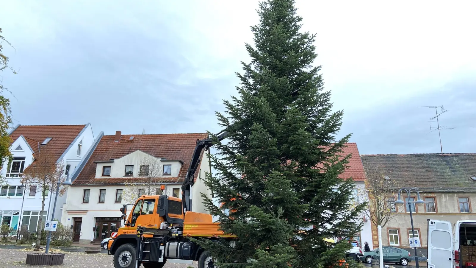 Ä Tännchen, please! Der Weihnachtsbaum ist da (Foto: taucha-kompakt.de)