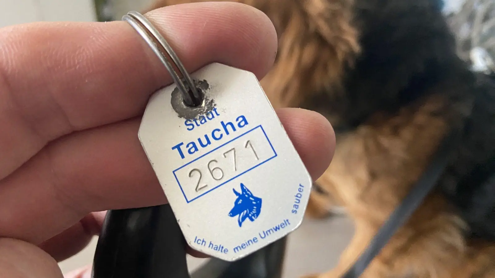 Auch diese Hundesteuermarke muss umgetauscht werden. (Foto: taucha-kompakt.de)
