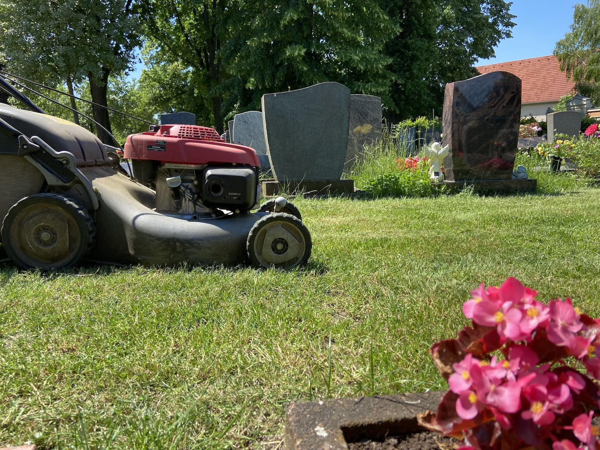 Dein Job als Friedhofsmitarbeiter wartet in Taucha! (Foto: Anzeige)