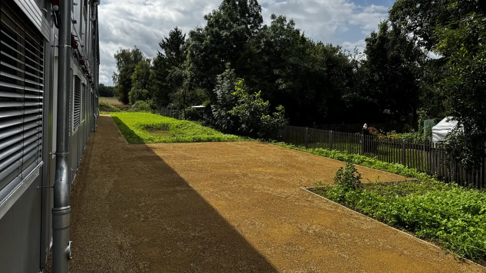 Hier entsteht das „grüne Klassenzimmer”. (Foto: Daniel Große)