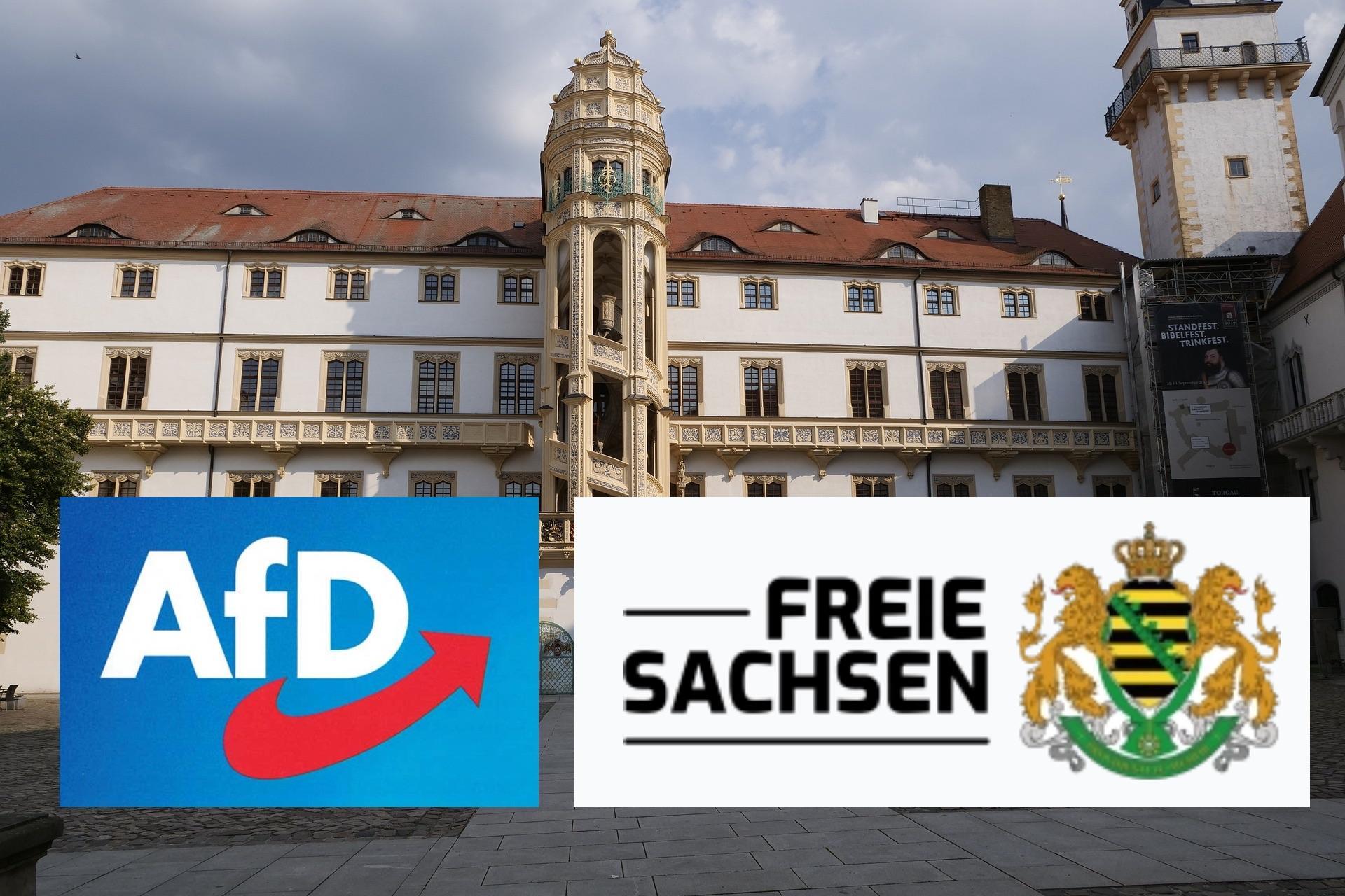 Verwirrung um Doppelkandidatur von Thomas Kabelitz (Symbolbild: Pixabay / AfD / Freie Sachsen)