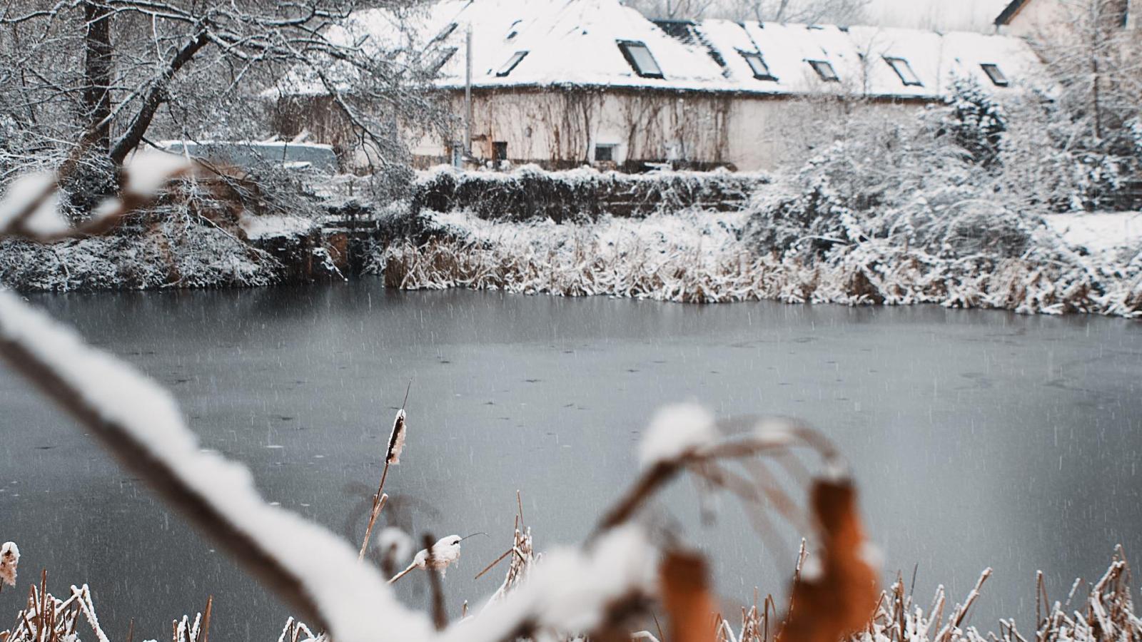 Seegeritz Historischer Dorfteich wird neu gestaltet Fördermittel