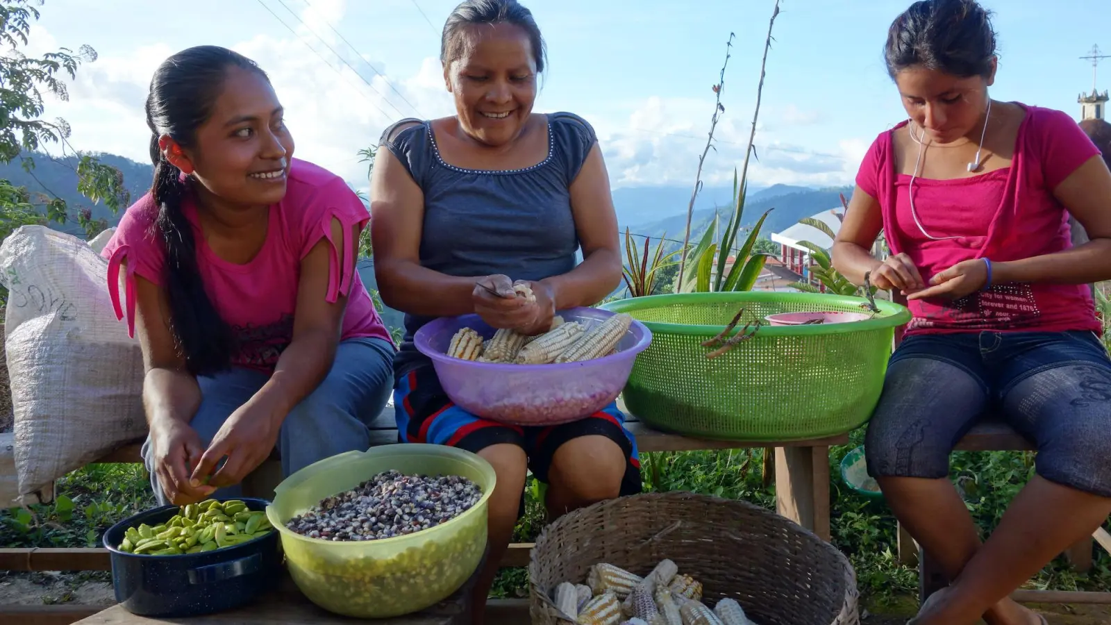 Foto: Pressematerial (Foto: taucha-kompakt.de)