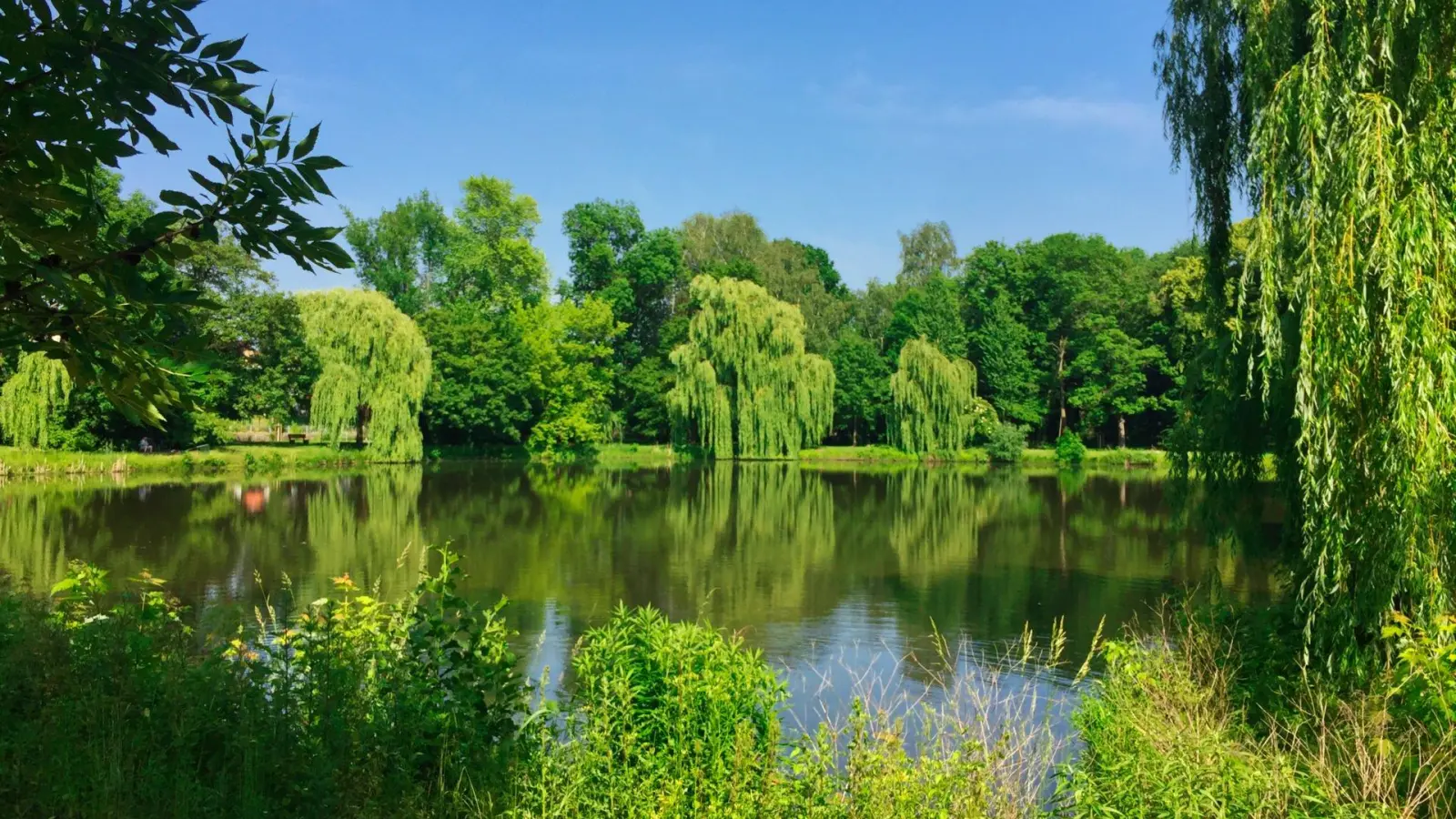 Offene Gesellschaft im Park am Samstag (Foto: taucha-kompakt.de)