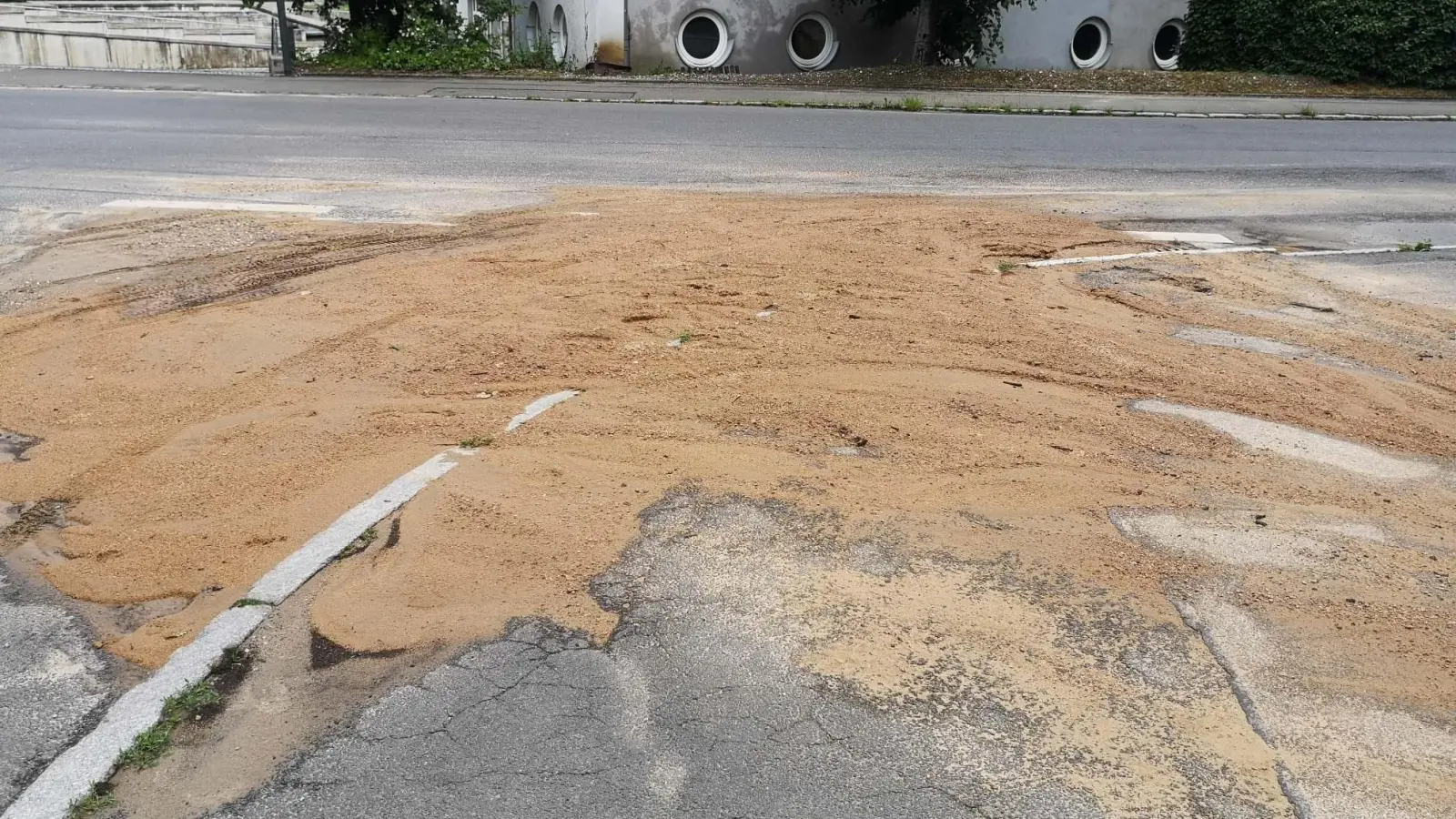 Foto: Tom Richter (Foto: taucha-kompakt.de)