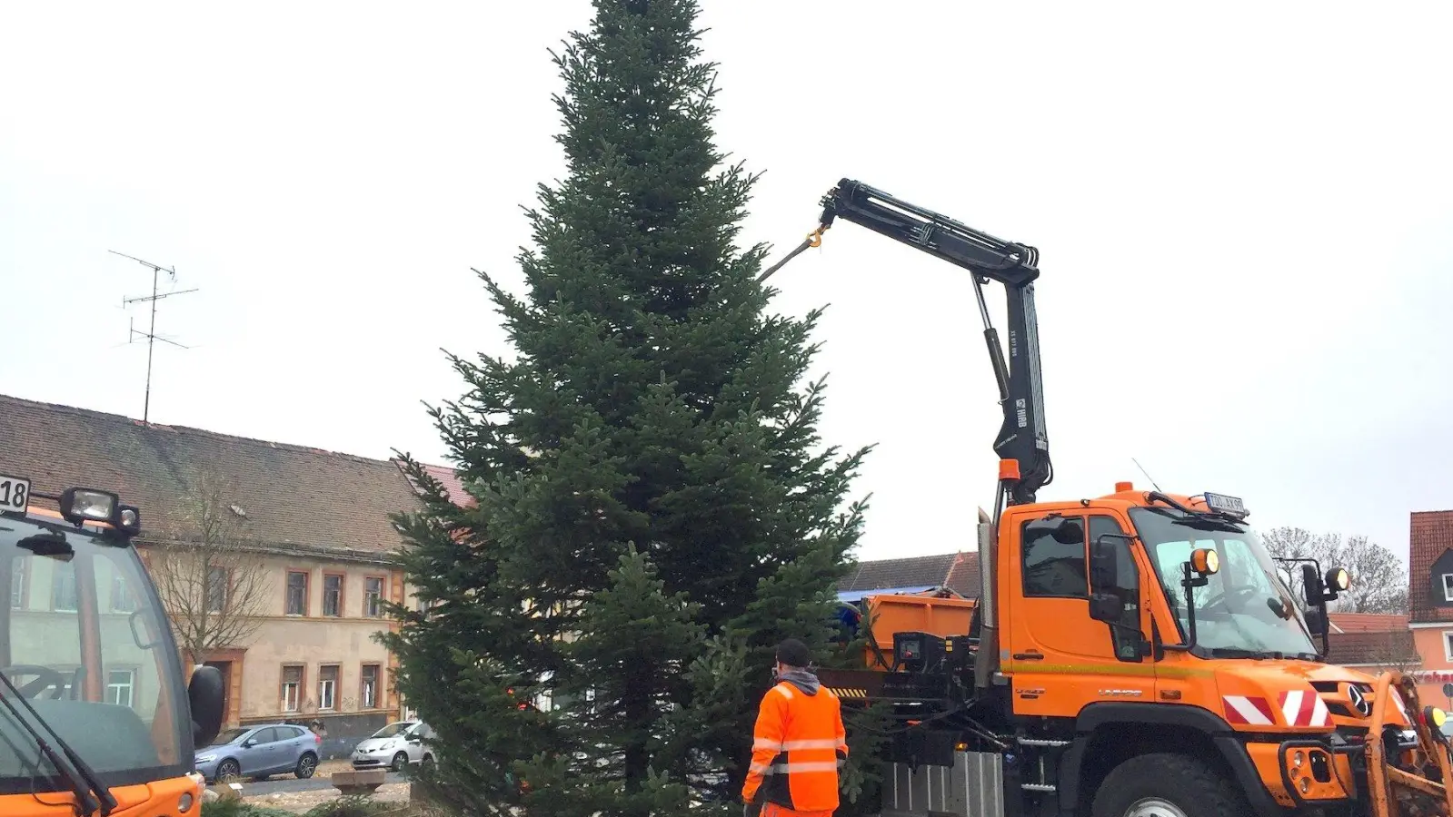 Bäume für Tauchaer Weihnachtsmärkte sind da (Foto: taucha-kompakt.de)